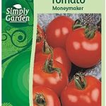 Simply Garden Tomato Moneymaker Fresh Vegetable Fruit Seeds Grow Your Own Garden