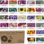 Pronto Seed Bumper Pack Grow Your Own Kit - 24 Varieties of Flowers - Over 3100 Seeds to Attract Butterflies & Bees - Gardening Gift for Women and Men (Flower Pack)